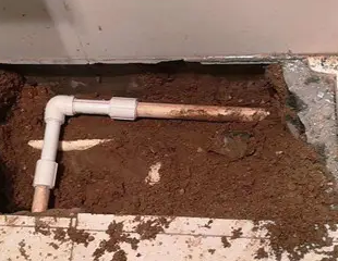 东昌测漏水哪家好