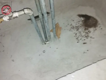 东昌卫生间测漏水价格明细