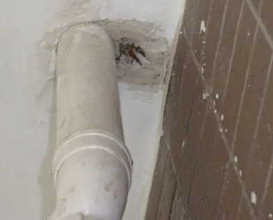 东昌漏水检测哪家好